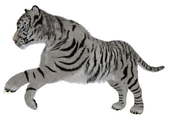 White Tiger