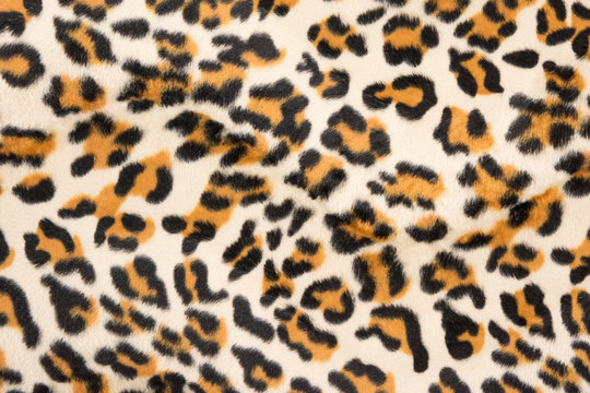 Tiger pattern background or texture