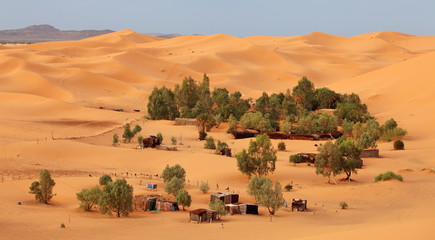 Oasis in Sahara desert