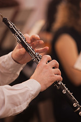 Hands of musician playing the oboe