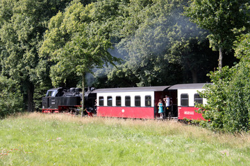 Mecklenburgische Bäderbahn Molli in Bad Doberan in Mecklenburg Vorpommern