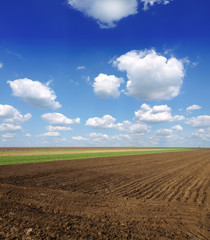 ploughed field