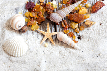 Bernsteinfunde liegen mit Muscheln und Sand auf Holz