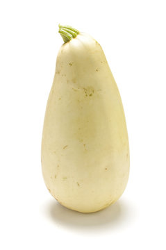White zucchini isolated on the white background