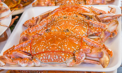 Steamed crab on the plate.