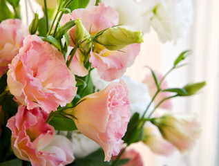 Obraz premium Roses flowers
