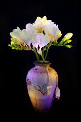 White freesia in vase