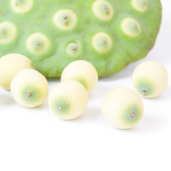 lotus seeds on white background