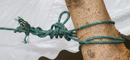 Knot the rope attached to the tree.