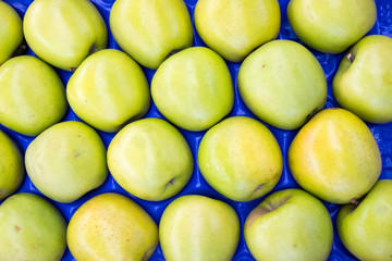 Background of some green apples