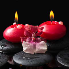 spa setting of red candles on zen stones with drops, orchid camb