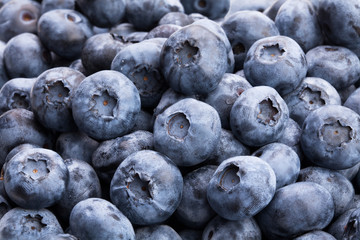 blueberry