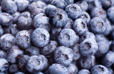 blueberry
