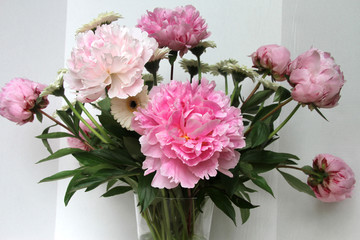 Peony flowers in a vase
