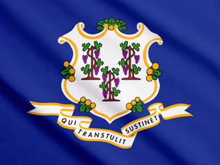 Connecticut flag waving