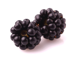 fresh blackberry