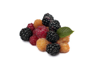 BlackBerry, red and yellow raspberries on white background