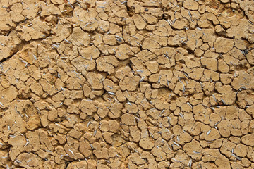 Crackled mud wall - textured