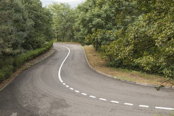 Twisting asphalted road with a dividing line