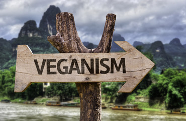 Veganism wooden sign with a forest background