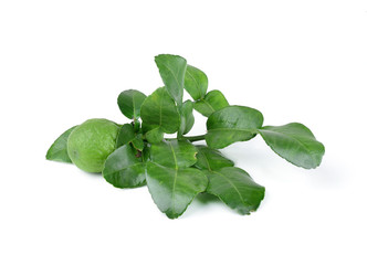 Fresh kaffir lime with leaf isolated on white background