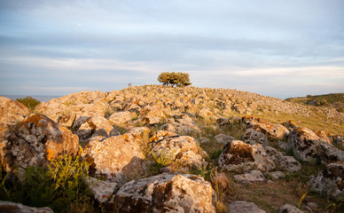 Obraz premium galilee landscape