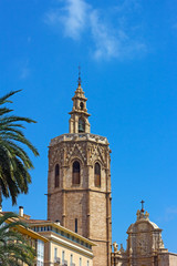 Valencia Cathedral Bell Tower and palm trees.