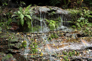 Waterfall Cascades, Blue Mountains, Sydney, Australia