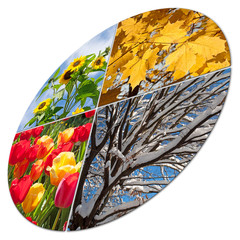 Bilder und Videos suchen: "4 jahreszeiten"