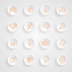Vector set of contour of internal human  Icons button shadows  v