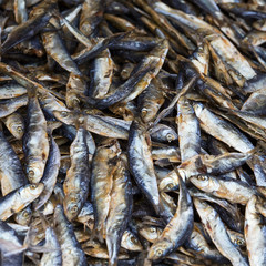Dried fish on the market in Thailand