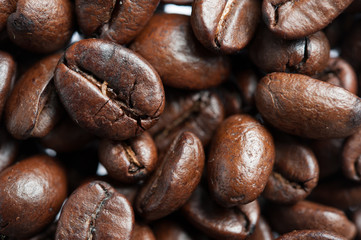 Roasted Coffee bean background