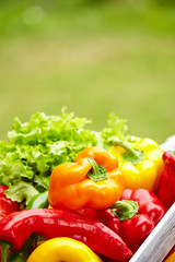 Colorful peppers in a wooden box