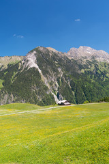 Fototapeta na wymiar Alpe in Vorarlberg