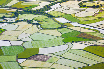 Obraz premium rice field in Bac Son, Vietnam