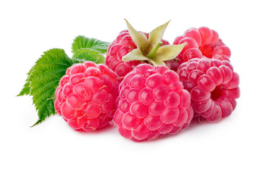 Fresh raspberries