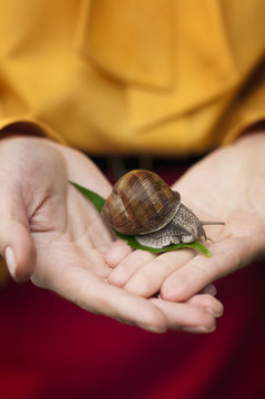 Snail on hands.