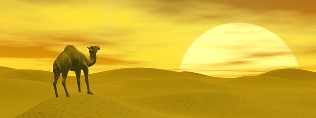Fototapety  Wielbłąd na pustyni - renderowanie 3D