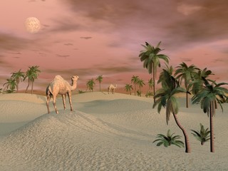 Fototapety  Wielbłądy na pustyni - renderowanie 3D