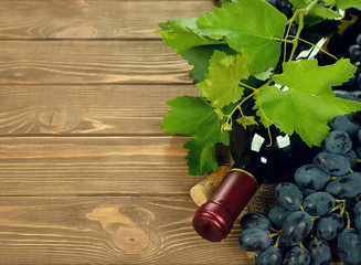 Grapes and wine