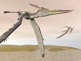Pteranodon flying - 3D render © Elenarts