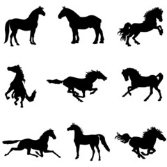 Horse silhouettes clipart 3