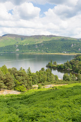 Fototapeta na wymiar Brandelhow Bay Derwent water Lake District Cumbria England UK