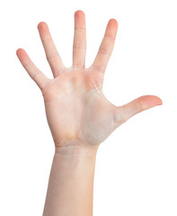 Woman hand showing five count
