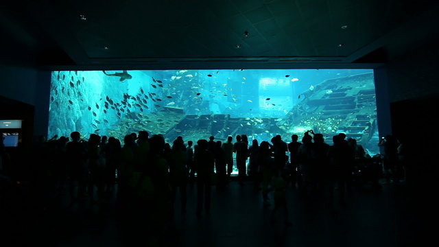 silhouettes of people against a big aquarium