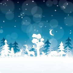 Weihnachtsbild: Winterwald bei Nacht © Nadine Conrad