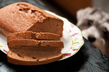 Simple chocolate cake and a cute hungry dog waiting for his portion