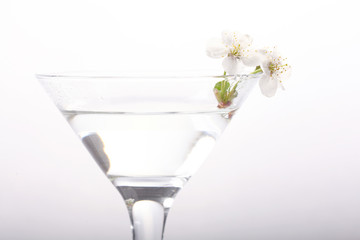 cherry blossom in glass white background