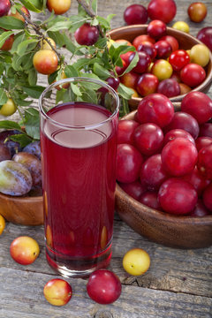juice from sloes and domestic organically grown plums