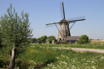 Dutch Windmill, Kinderdijk UNESCO site